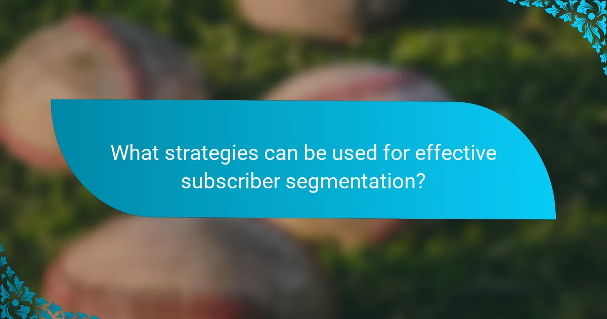 What strategies can be used for effective subscriber segmentation?